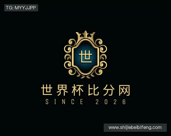 关于世界杯比分网